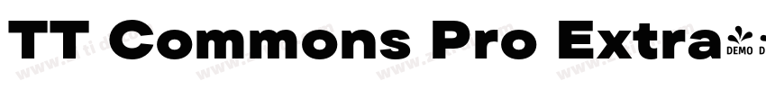 TT Commons Pro Extra字体转换
